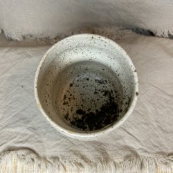 Blgekop med krakelering 22