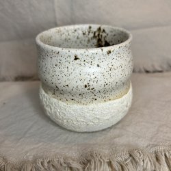 Blgekop med krakelering 24