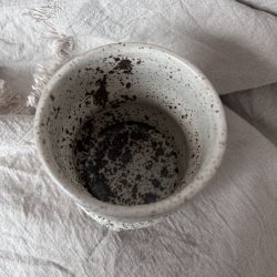 B�lgekop med krakelering 31