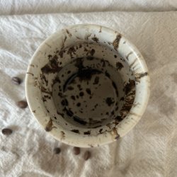 Blgekop med krakelering 72